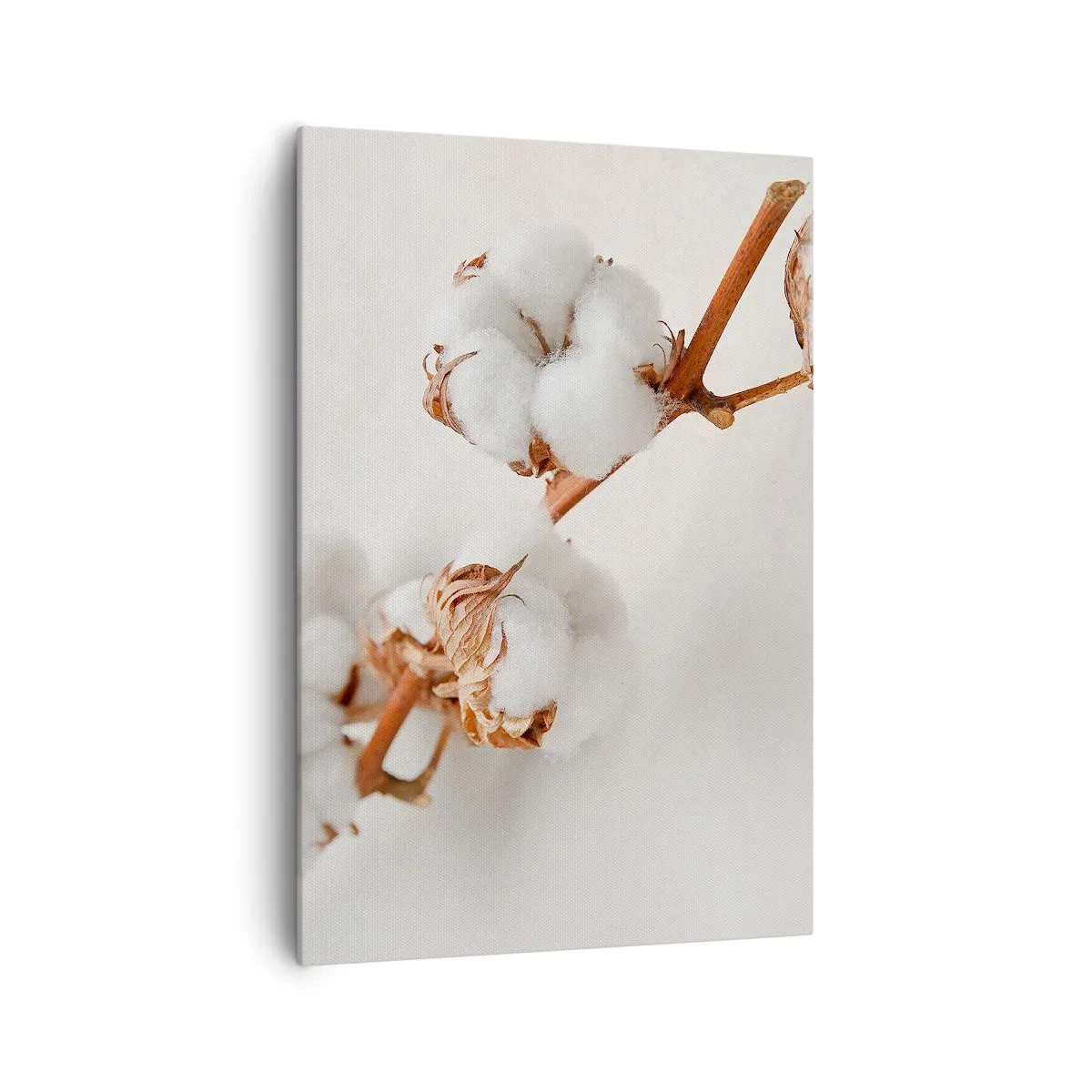 Bild auf Leinwand - Leinwandbild - Ein Zweig Baumwolle auf dezentem Untergrund - 70x100cm - Nur umarmen - Moderne Wanddekoration für Wohnzimmer und Schlafzimmer ARTTOR