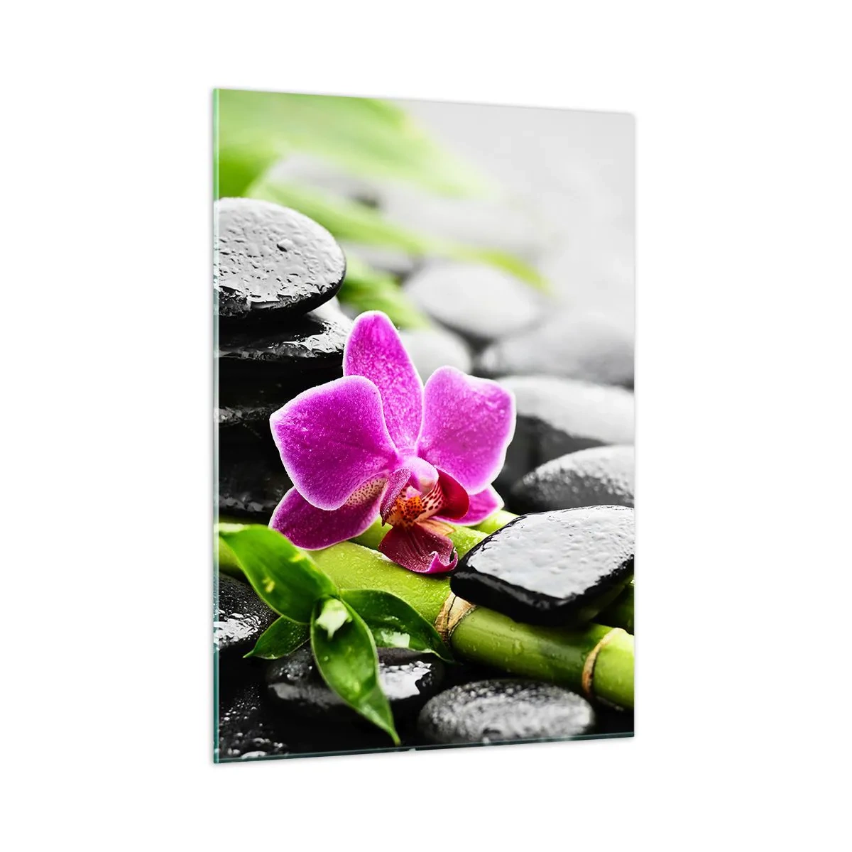 Glasbild - Bild auf glas - Orchidee, schwarze Steine und Bambus in einem ruhigen Arrangement - 50x70cm - In ruhiger Balance - Moderne Wanddekoration für Wohnzimmer und Schlafzimmer ARTTOR