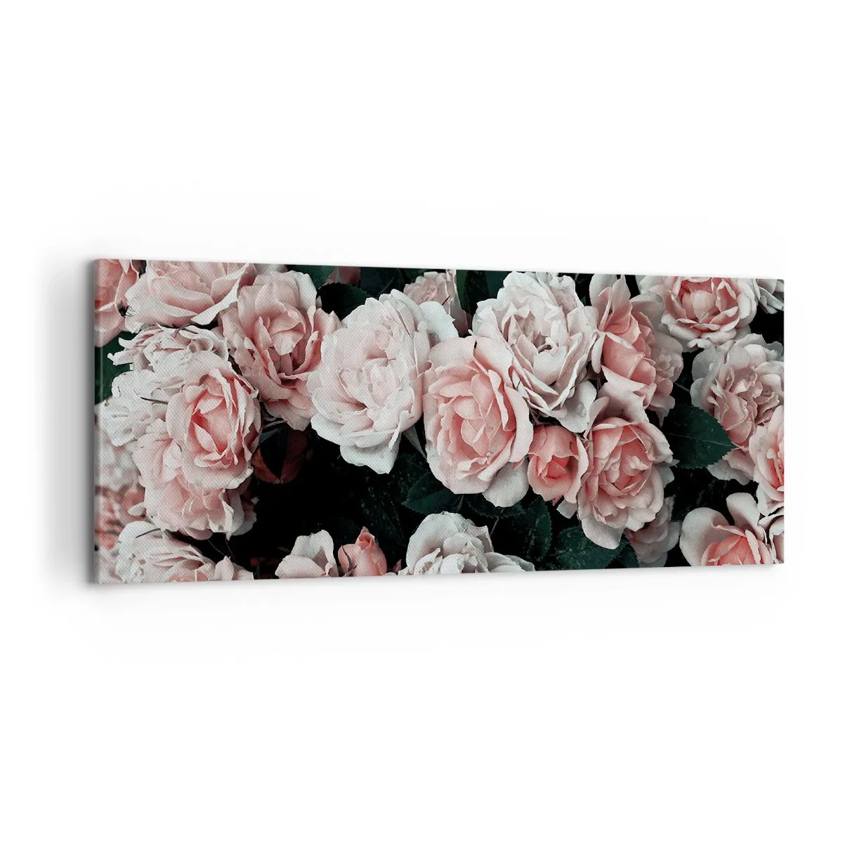 Bild auf Leinwand - Leinwandbild - Rosa Rosen auf dunklem Hintergrund in einer subtilen Komposition - 120x50cm - Rosen-Ensemble - Moderne Wanddekoration für Wohnzimmer und Schlafzimmer ARTTOR