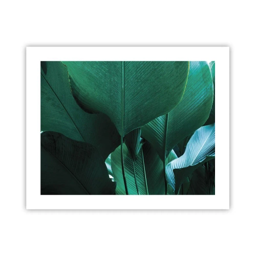 Poster - Dem Licht zugewandt - 50x40 cm