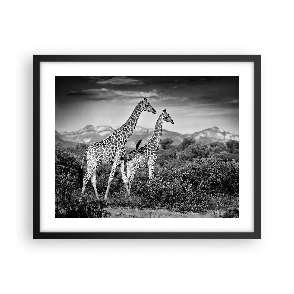 Poster in einem schwarzem Rahmen - Hohe Sphären in Afrika - 50x40 cm