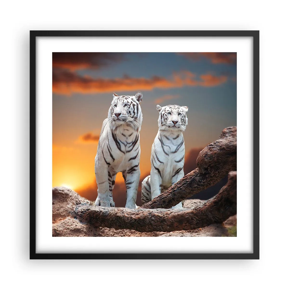 Poster in einem schwarzem Rahmen - Genau wie Narnia - 50x50 cm