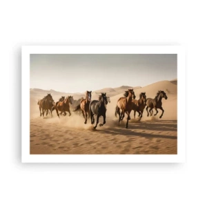 Poster - Frei wie der Wind - 70x50 cm