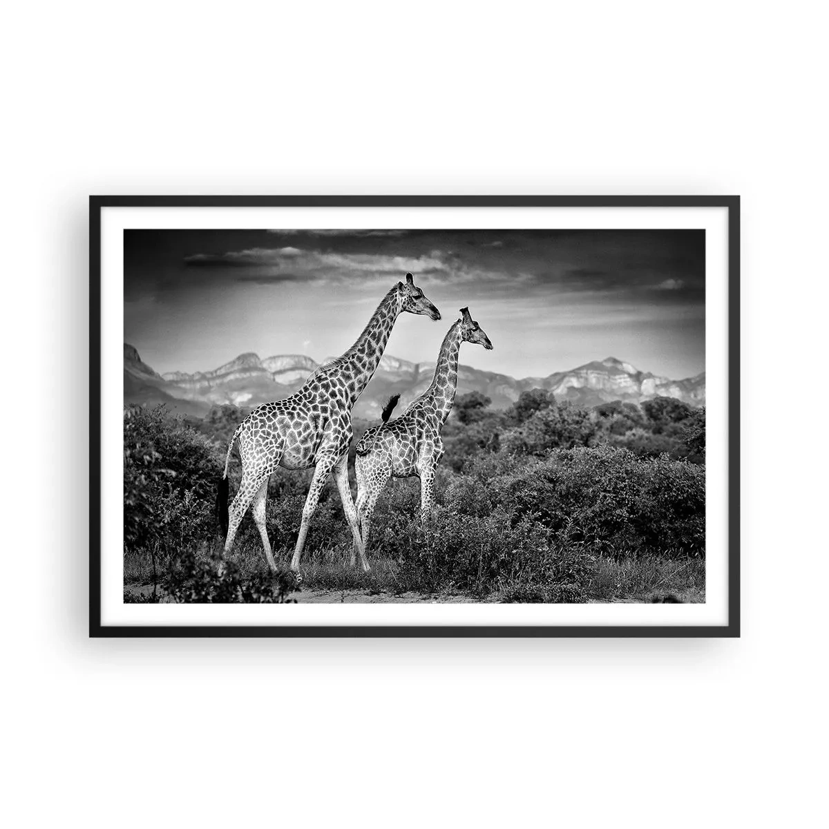 Poster in einem schwarzem Rahmen - Hohe Sphären in Afrika - 91x61 cm
