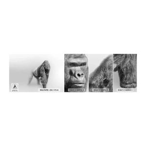 Fototapetenmuster Standard Eco - Zuversichtlich in seiner Stärke - Tiere, Gorilla, Affe - 100x30 cm