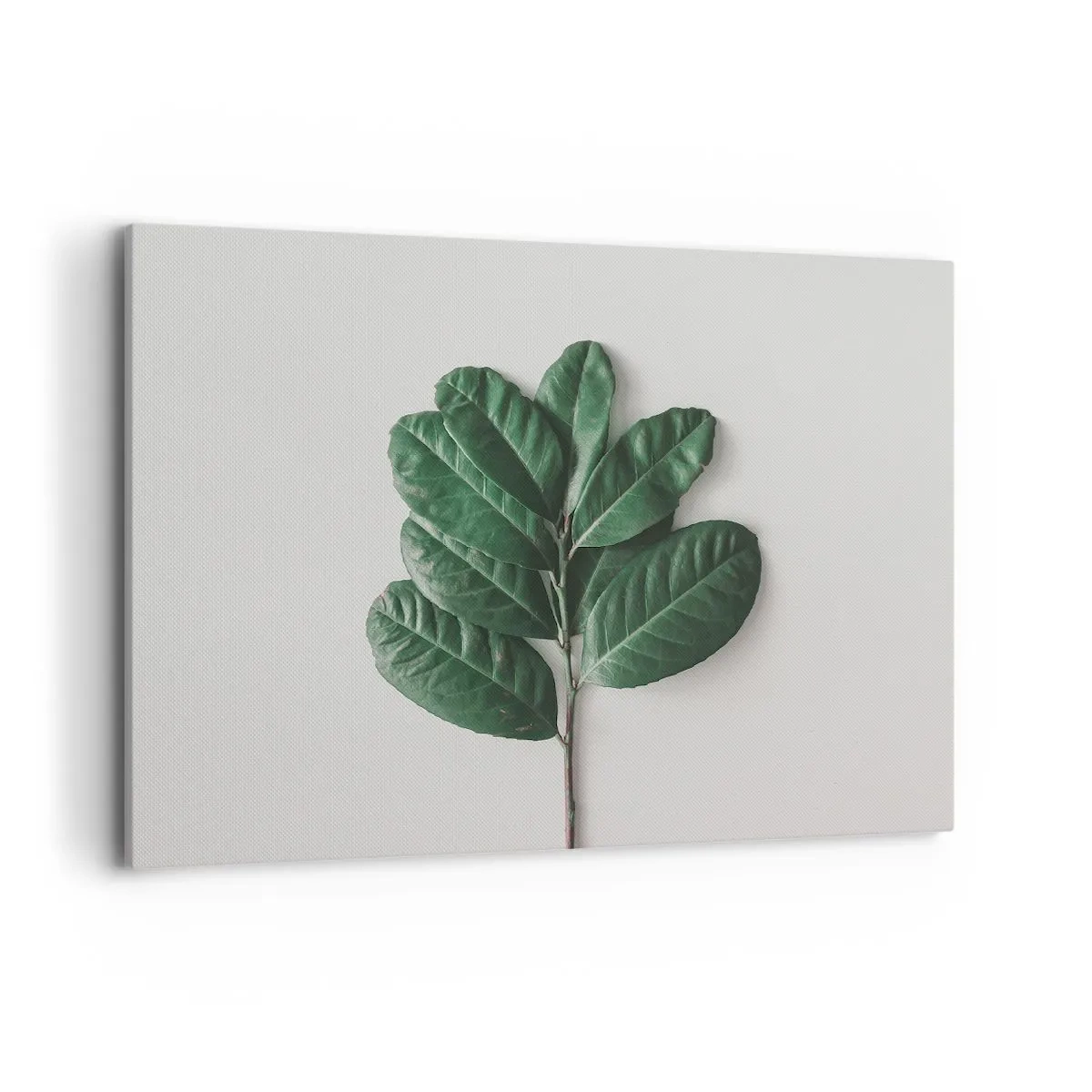 Bild auf Leinwand - Leinwandbild - Ein Zweig grüner Blätter auf hellem Hintergrund - 100x70cm - Eine Zeichnung purer Natur - Moderne Wanddekoration für Wohnzimmer und Schlafzimmer ARTTOR