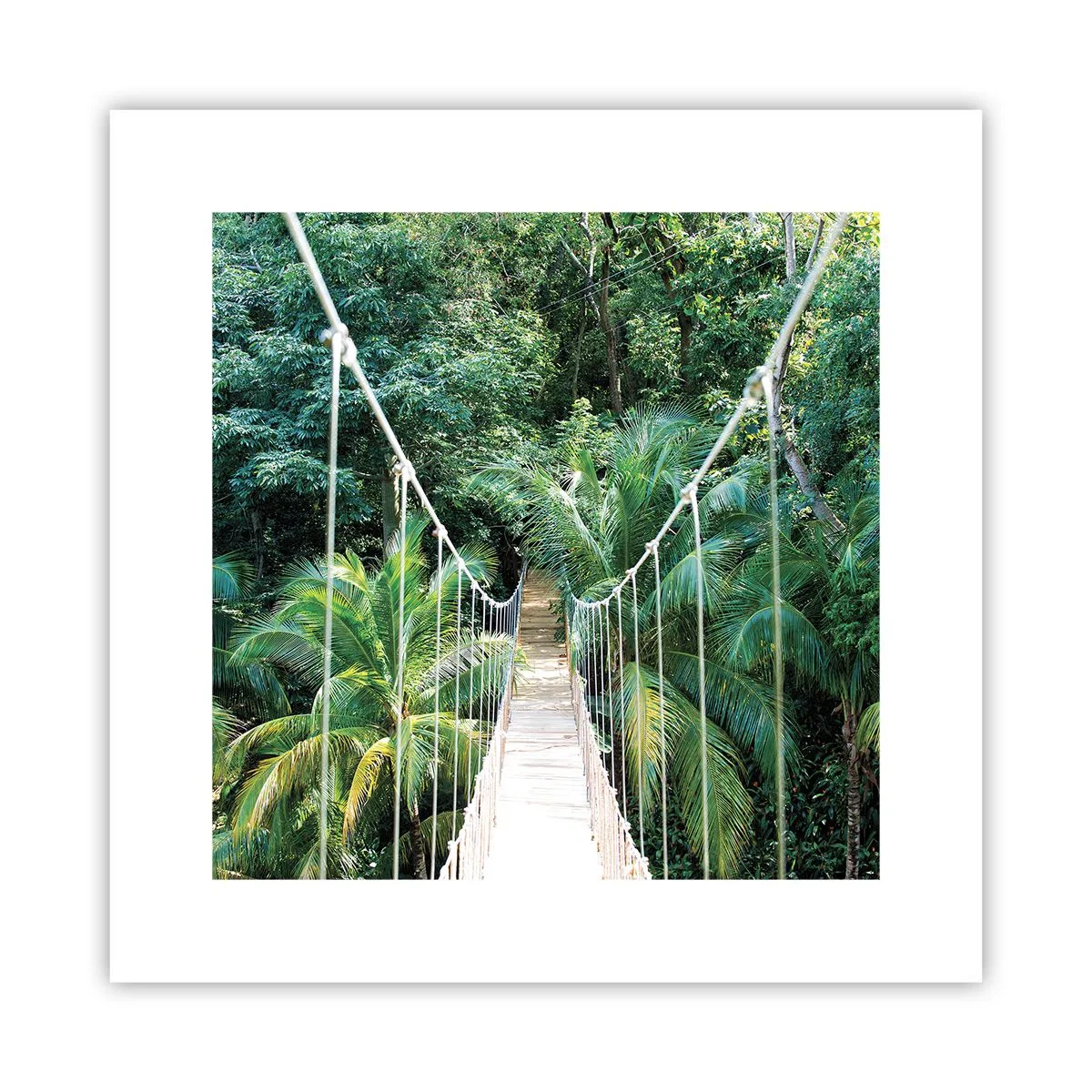 Poster - Willkommen im Dschungel! - 30x30 cm