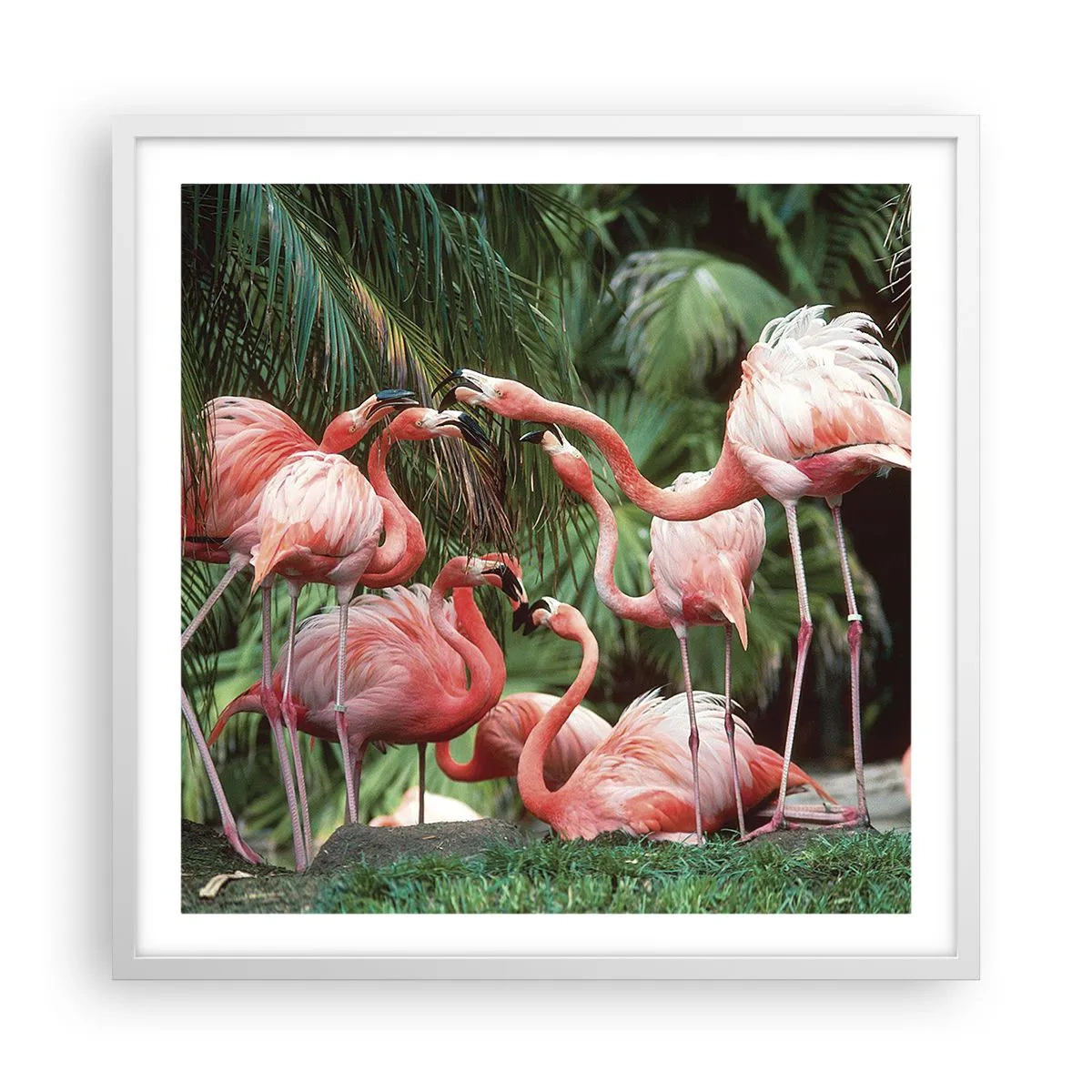 Poster in einem weißen Rahmen - Nachmittagsklatsch - 60x60 cm