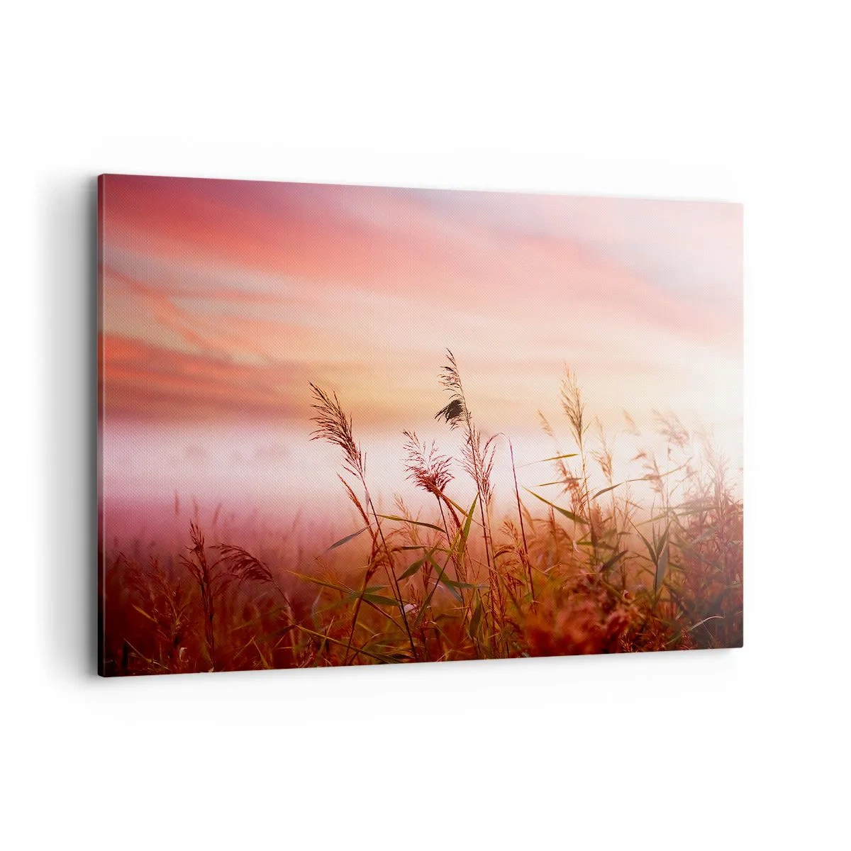 Bild auf Leinwand - Leinwandbild - Ein Grasfeld vor der Kulisse eines malerischen Sonnenuntergangs - 120x80cm - Drachen, Löwenzahn, Wind - Moderne Wanddekoration für Wohnzimmer und Schlafzimmer ARTTOR