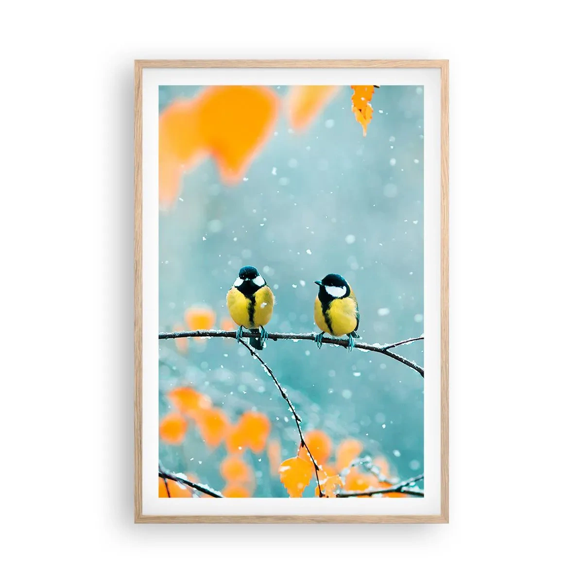 Poster in einem Rahmen aus heller Eiche - Vogelklatsch - 61x91 cm
