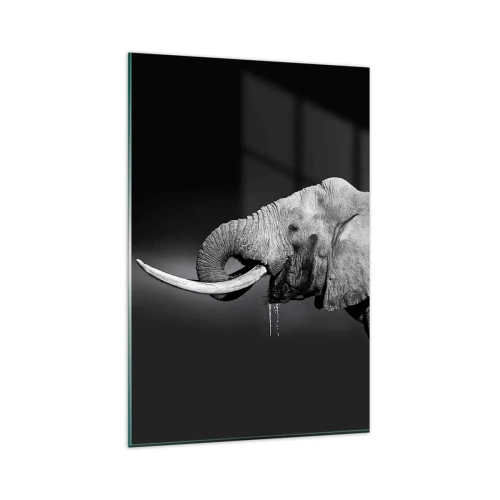 Glasbild - Bild auf glas - Schwarz-Weiß-Porträt eines Elefanten im Profil - 80x120cm - Ja, gut jetzt - Moderne Wanddekoration für Wohnzimmer und Schlafzimmer ARTTOR