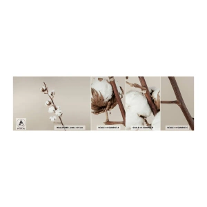 Fototapeten Muster Selbstklebend Deluxe Sticker - An der Quelle der Weichheit - Baumwollblume, Natur, Baumwolle - 100x30 cm