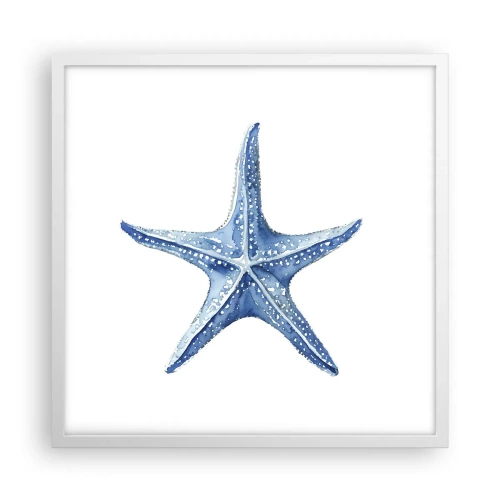 Poster in einem weißen Rahmen - Stern des Meeres - 50x50 cm
