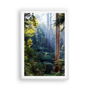 Poster in einem weißen Rahmen - Ein Waldmärchen - 61x91 cm