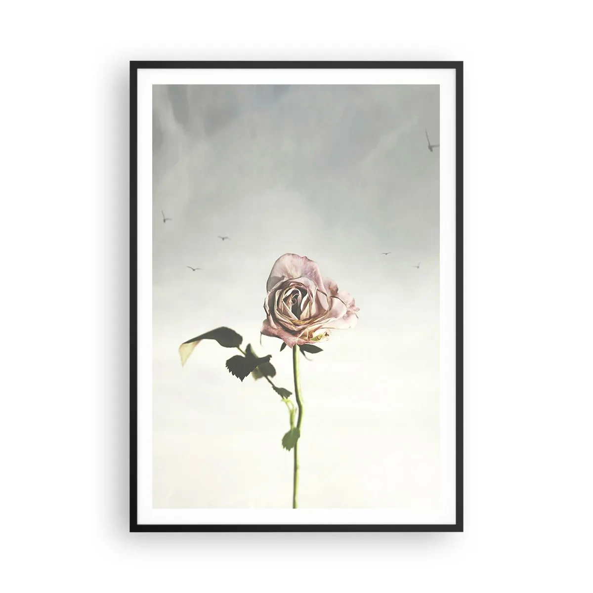 Poster in einem schwarzem Rahmen - Begrüßung des Frühlings - 70x100 cm