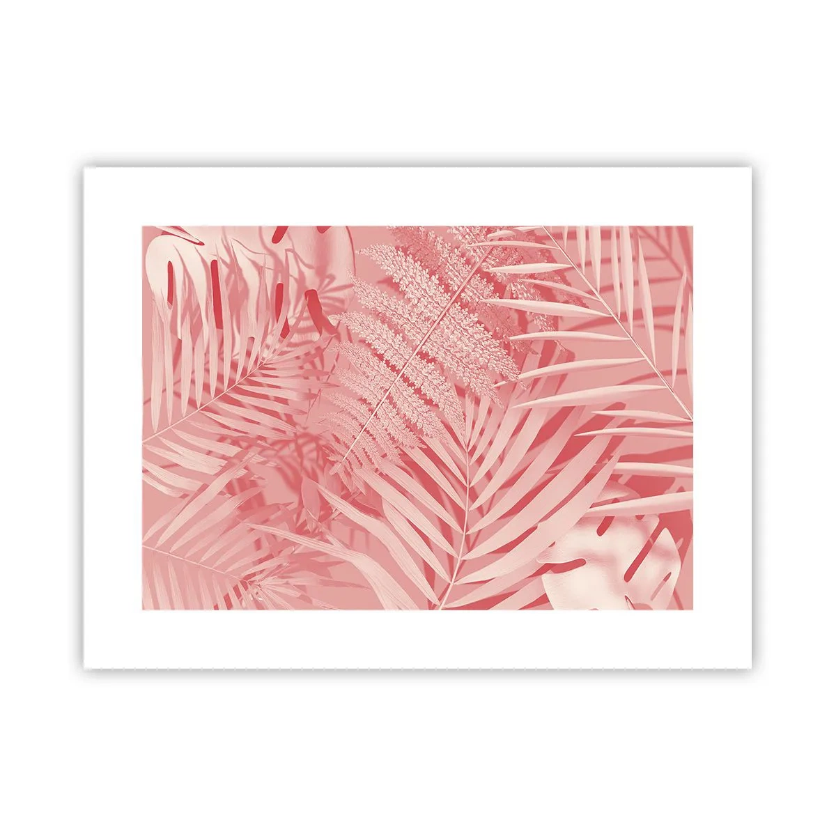 Poster - Rosa Konzept - 40x30 cm