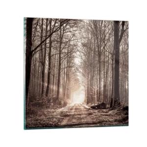 Glasbild - Bild auf glas - Waldkathedrale - 70x70 cm