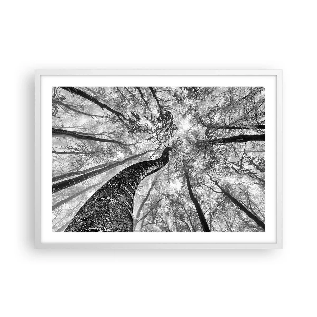 Poster in einem weißen Rahmen - Rennen zum Licht - 70x50 cm