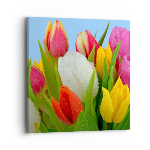 Bild auf Leinwand - Leinwandbild - Ein blumiger Regenbogen in Tautropfen - 40x40 cm