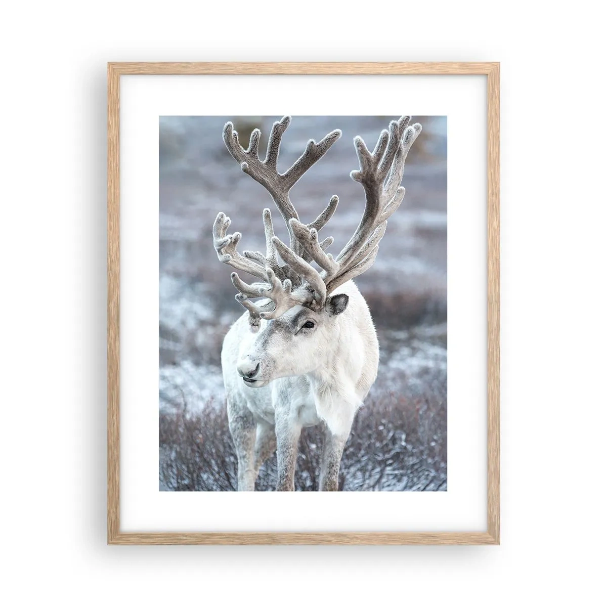 Poster in einem Rahmen aus heller Eiche - Porträt in der Sonne - 40x50 cm