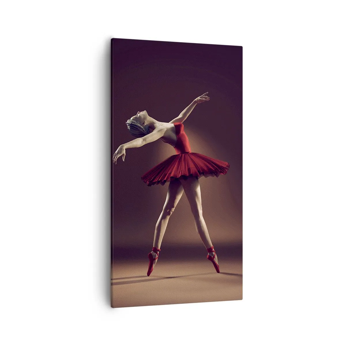 Bild auf Leinwand - Leinwandbild - Eine Primaballerina - 55x100 cm