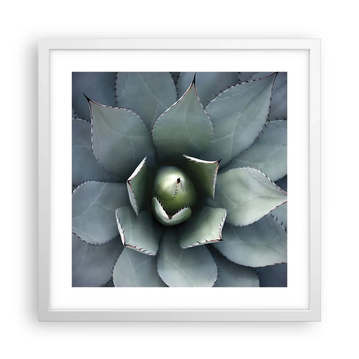 Poster in einem weißen Rahmen - Es lockt an und warnt - 40x40 cm