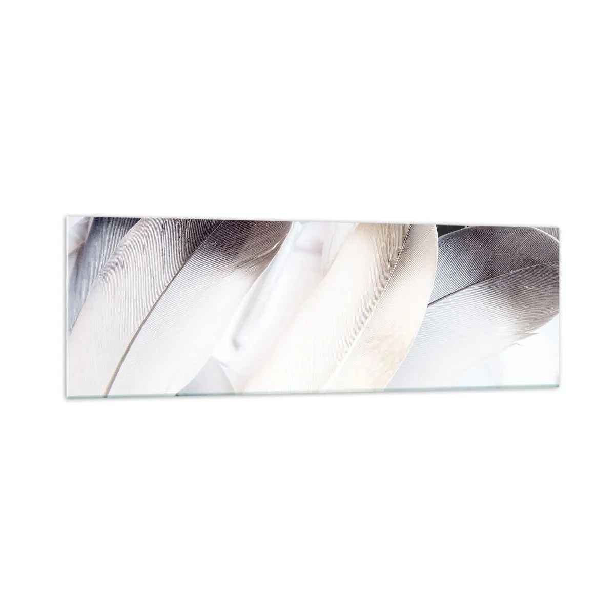 Glasbild - Bild auf glas - Nahaufnahme zarter Federn in Weiß- und Grautönen - 160x50cm - Fast engelhaft - Moderne Wanddekoration für Wohnzimmer und Schlafzimmer ARTTOR