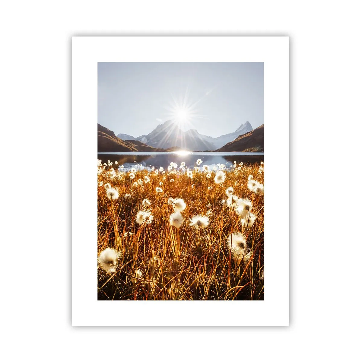 Poster - Steinhärte, Grasweichheit - 30x40 cm