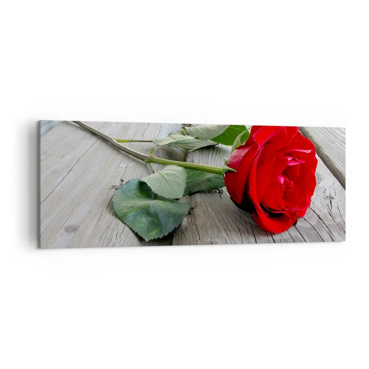 Bild auf Leinwand - Leinwandbild - Rote Rose auf einem hölzernen Hintergrund - 140x50cm - Eine Studie in Scharlachrot - Moderne Wanddekoration für Wohnzimmer und Schlafzimmer ARTTOR