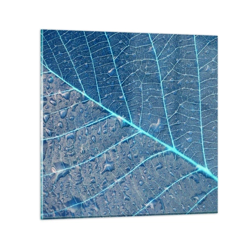 Glasbild - Bild auf glas - Leben in Blau - 30x30 cm