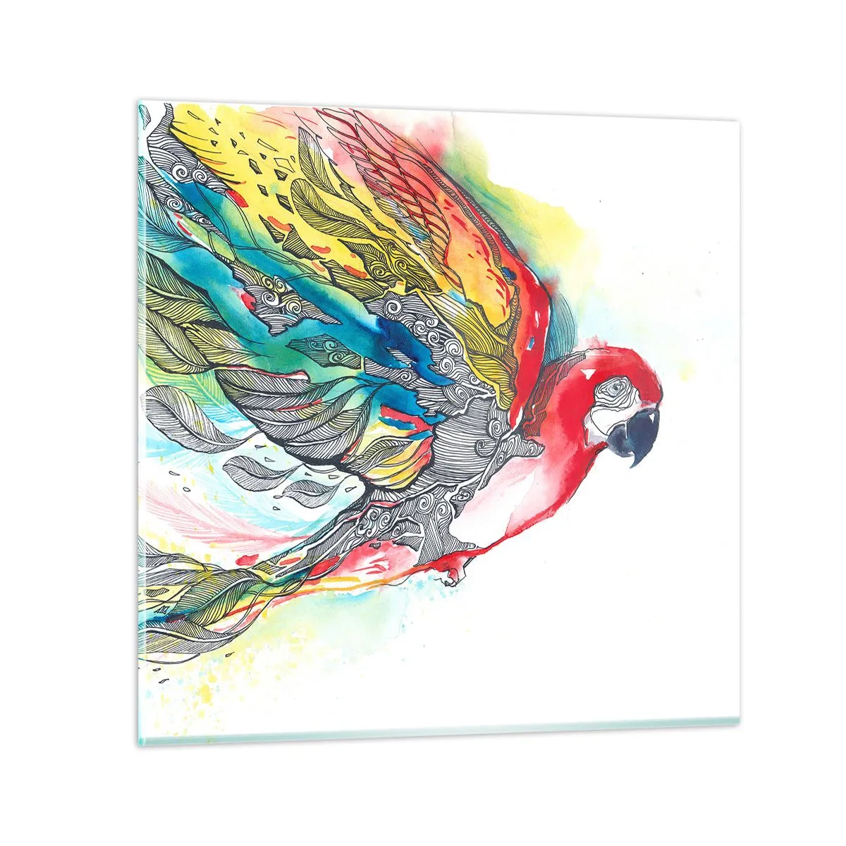 Glasbild - Bild auf glas - Leben Sie bunt - 40x40 cm