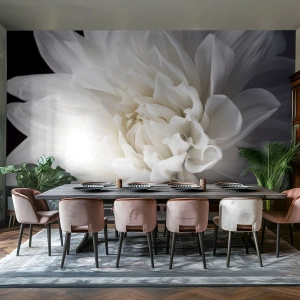 Fototapete Standard Eco - Der Morgen der Braut - Blume, Dahlie, Natur - 400x280 cm