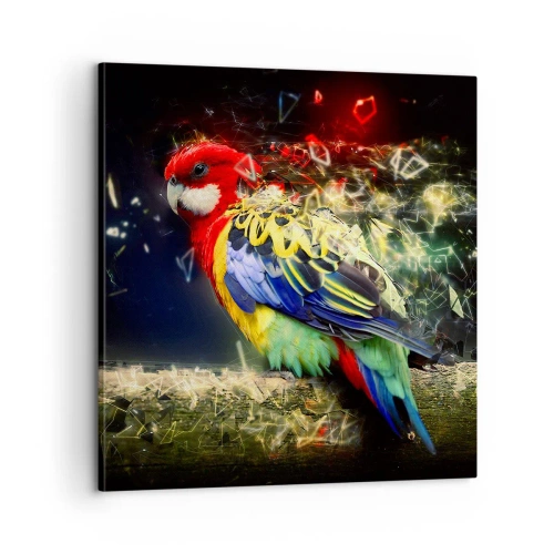 Bild auf Leinwand - Leinwandbild - Botschafter des Strahlens - 60x60 cm