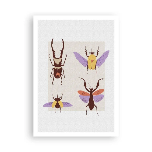 Poster - Insektenwelt - 70x100 cm