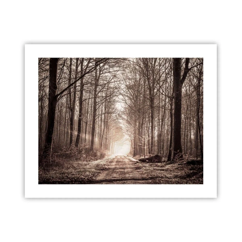 Poster - Waldkathedrale - 50x40 cm