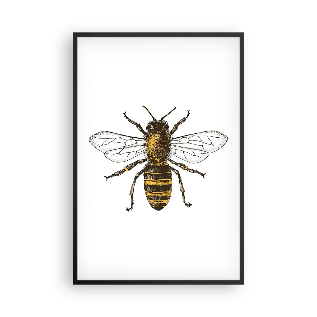 Poster in einem schwarzem Rahmen - Schön und gut - 61x91 cm