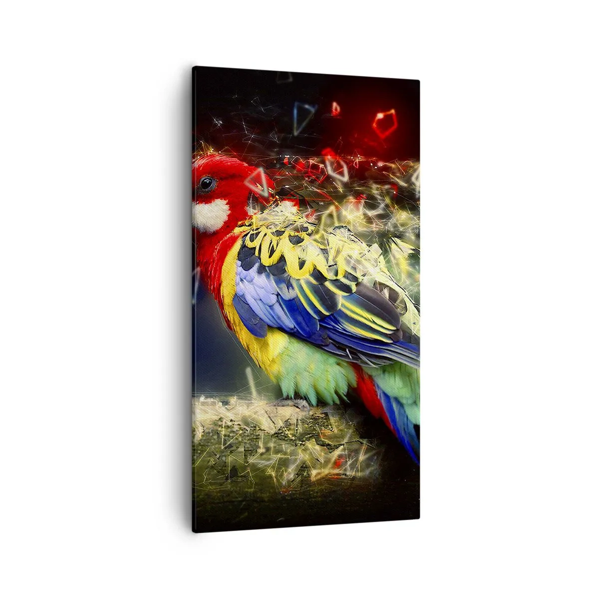 Bild auf Leinwand - Leinwandbild - Botschafter des Strahlens - 55x100 cm