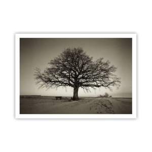 Poster - Ein einsamer Baum in einem Sepia-Feld - 100x70cm - Von hier zu Ewigkeit - Moderne Wanddekoration für Wohnzimmer und Schlafzimmer ARTTOR