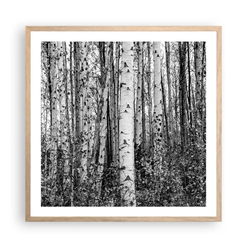 Poster in einem Rahmen aus heller Eiche - Birkenkolonnade - 60x60 cm