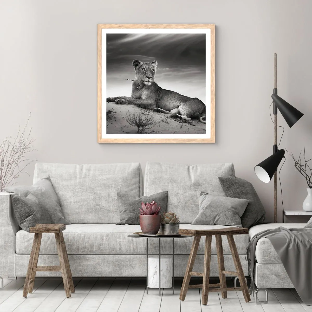 Poster in einem Rahmen aus heller Eiche - Die Königin der Wüstenruhe - 40x40 cm