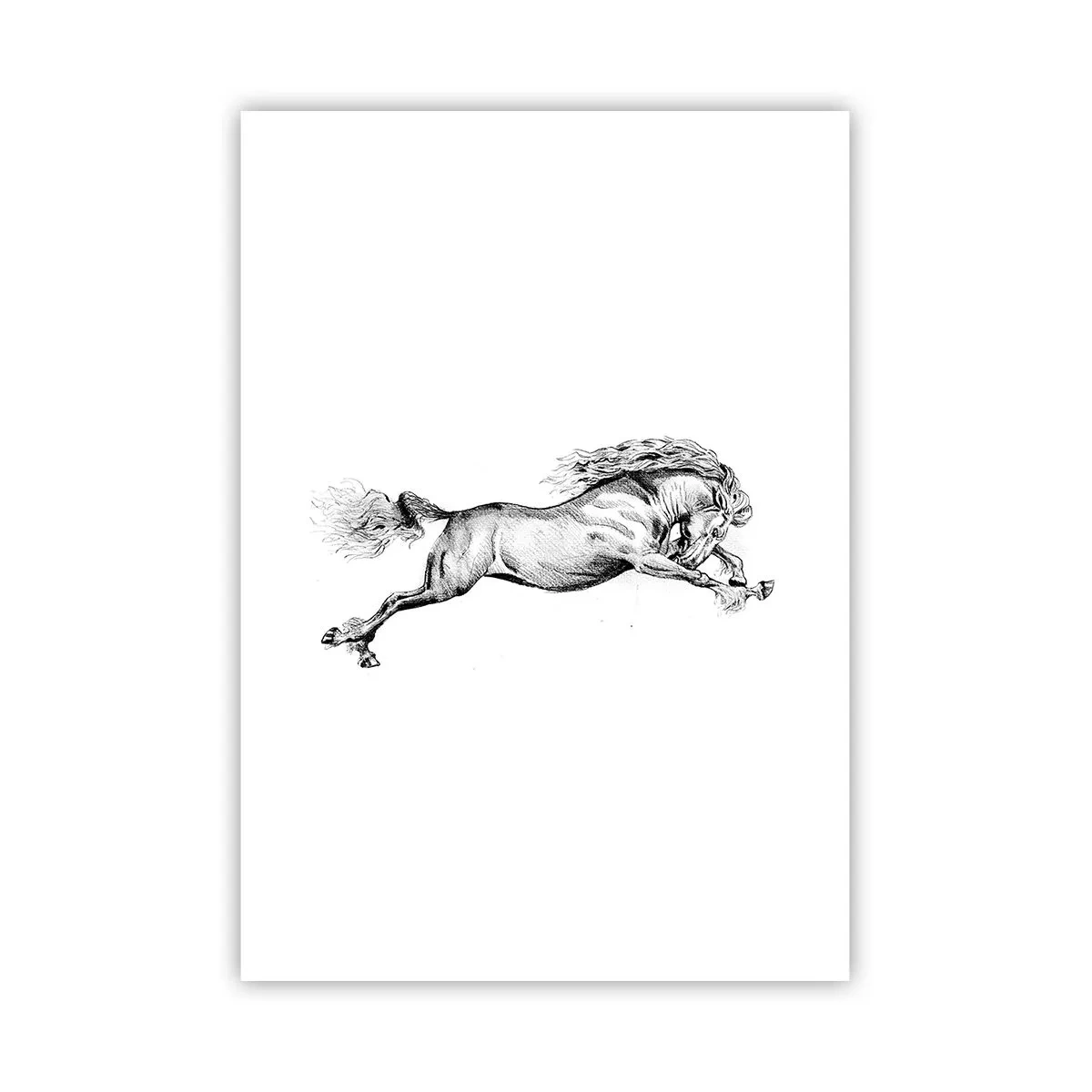 Poster - Im Galopp festgehalten - 70x100 cm