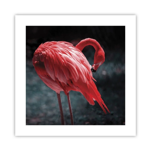 Poster - Ein purpurrotes Gedicht der Natur - 40x40 cm