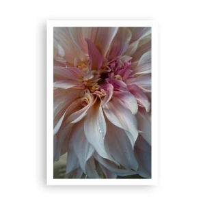 Poster - Blühende Frische - 61x91 cm