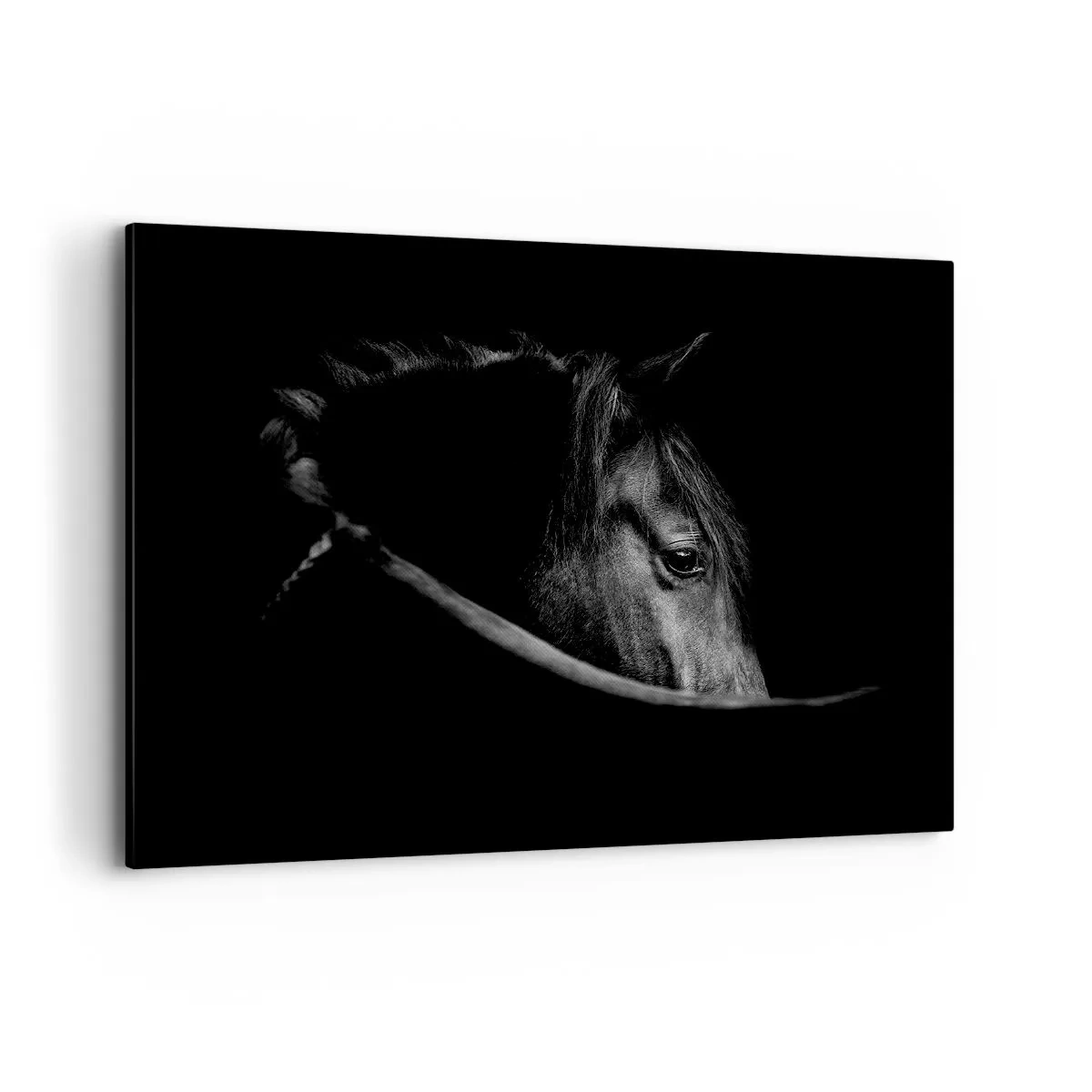 Bild auf Leinwand - Leinwandbild - Ein Schwarz-Weiß-Porträt eines Pferdes mit einem subtilen Spiel aus Licht und Schatten vor dunklem Hintergrund. - 100x70cm - Schwarzer Prinz - Moderne Wanddekoration für Wohnzimmer und Schlafzimmer ARTTOR