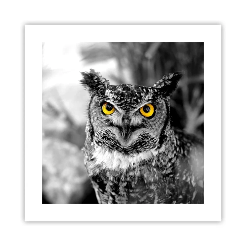 Poster - Nichts wird sich verstecken - 40x40 cm