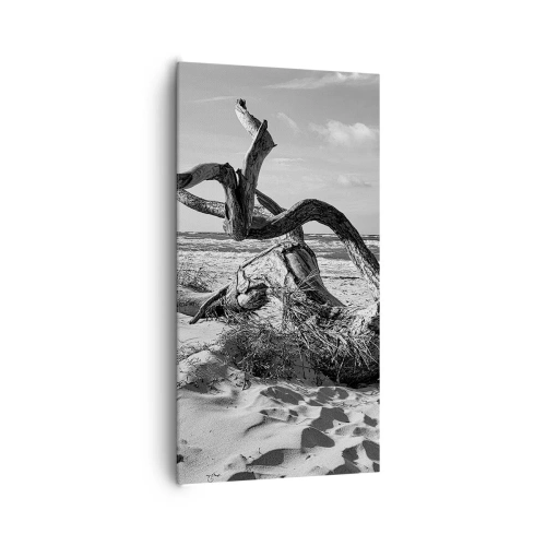 Bild auf Leinwand - Leinwandbild - Meeresskulptur - 65x120 cm