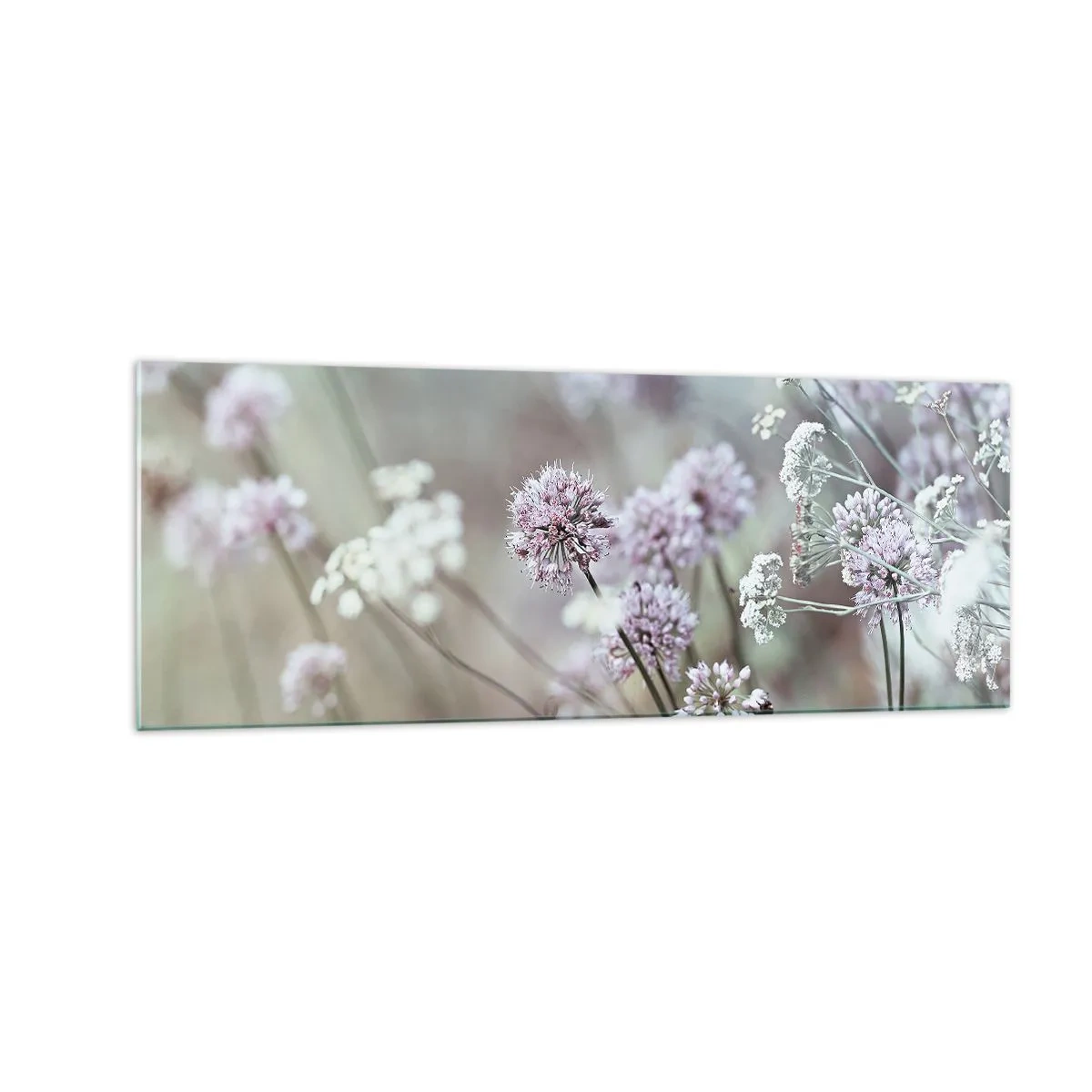 Glasbild - Bild auf glas - Zarte Blüten in Pastelltönen - 140x50cm - Süße filigrane Kräuter - Moderne Wanddekoration für Wohnzimmer und Schlafzimmer ARTTOR