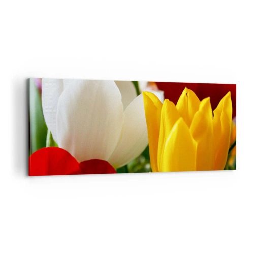 Bild auf Leinwand - Leinwandbild - Tulpenfieber - 100x40 cm