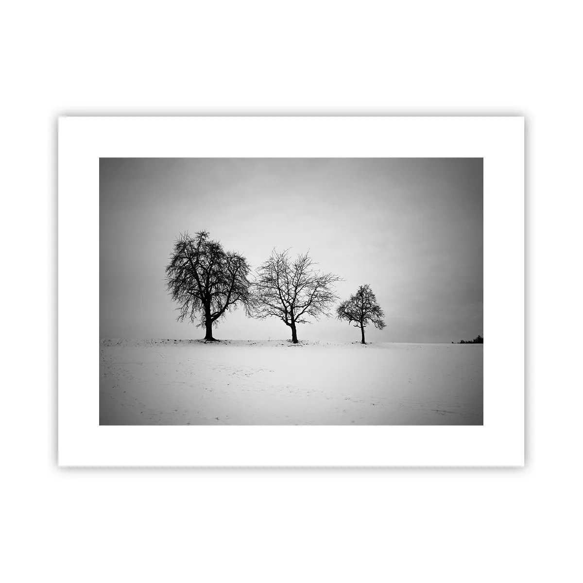 Poster - Wovon träumen sie? - 40x30 cm