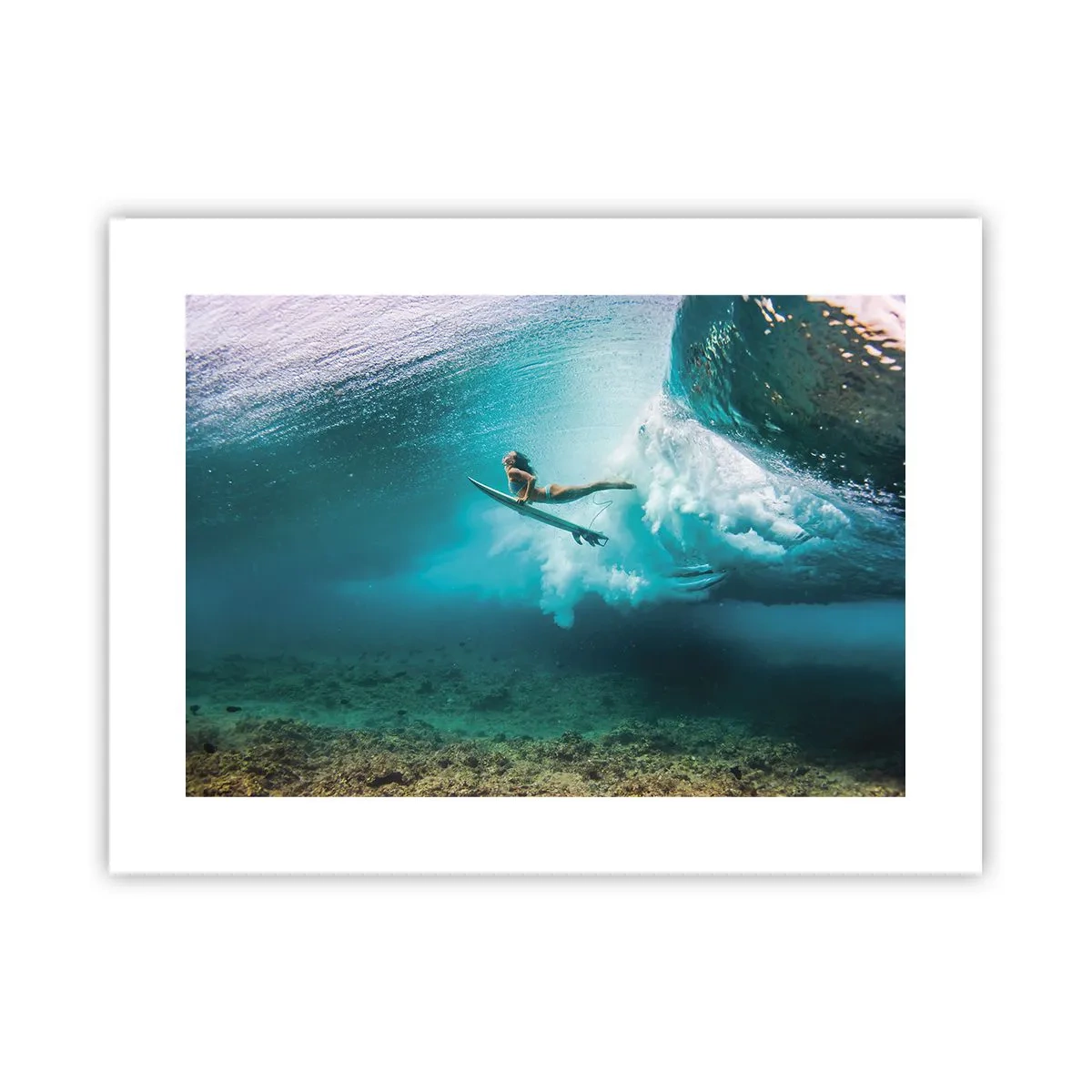 Poster - Unterwasserwelt - 40x30 cm